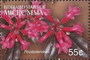 Micronesia 2004