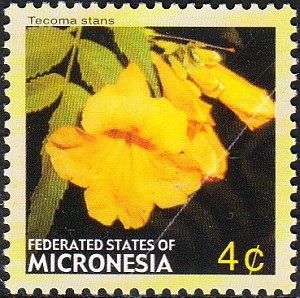 Micronesia 2005