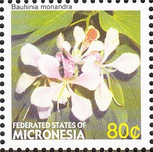 Micronesia 2005