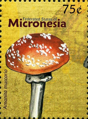 Micronesia 2010