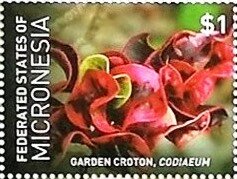 Микронезия - Micronesia (2015)