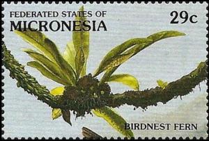 Микронезия - Micronesia (1991)
