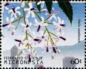 Микронезия - Micronesia (1997)