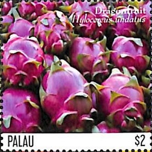 Palau 2020