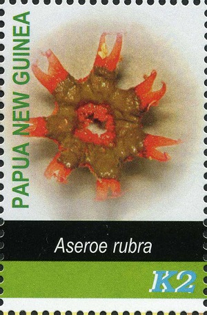 Папуа-Новая Гвинея - Papua - New Guinea (2005)