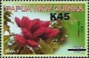 Papua 2016