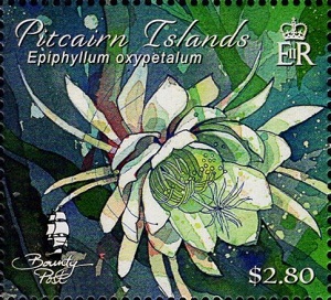 Питкэрн - Pitcairn (2019) 