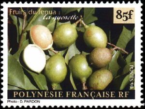 Полинезия французская. - French Polynesia (1999)