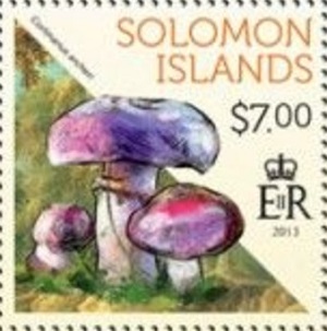 Соломоновы о-ва - Solomon Islands (2013)