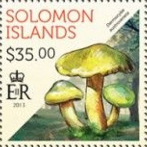 Соломоновы о-ва - Solomon Islands (2013)