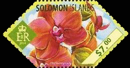 Solomon 2014