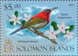 Соломоновы о-ва - Solomon Islands 2013