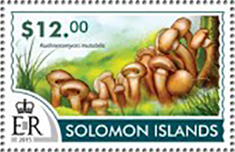 Solomon 2015