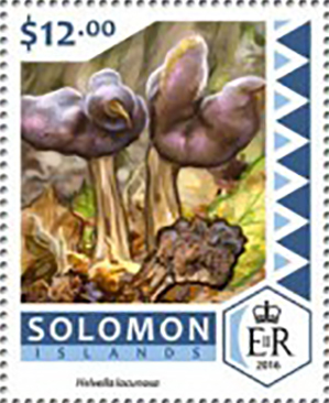 Solomon 2016