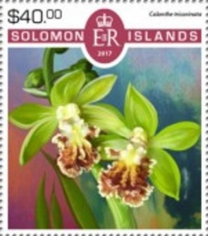 Соломоновы острова - Solomon Islands (2017)