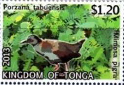 Tonga 2013
