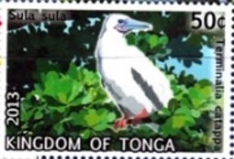 Тонга - Tonga (2013)