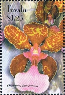 Порядок

Орхидные 

Orchidales 

Сем.

Орхидные - Orchid Family

Orchidaceae

Белиз - Belize (1997)

Лесото - Lesotho (1999)

Либерия - Liberia (2001)

Никарагуа - Nicaragua (2005)

Сент-Винсент - Saint Vincent (1990)

Сент-Винсент - Гренадины - Saint Vincent-Grenadines (2000) 

Танзания - Tanzania (1999)

Тувалу - Tuvalu (2003)





Тувалу - Tuvalu (2003)


