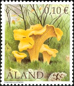 Aland 2002