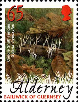 Олдерни - Alderney (2004)
