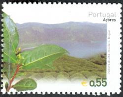 Azores 2003