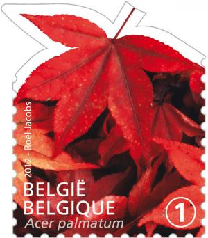 Belgium 2012