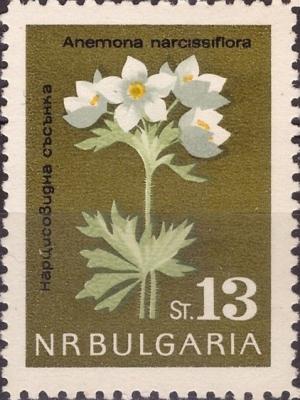 Bulgaria 1963