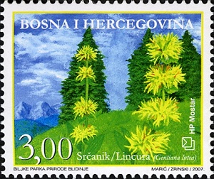 Bosnia 2007