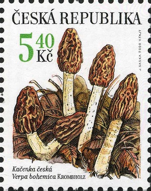 Czech Rep. 2000