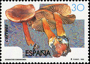 Испания - Spain (1995)