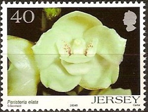 Джерси - Jersey (2004)