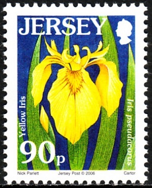 Джерси - Jersey (2006)