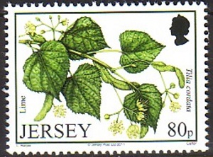 Jersey 2011