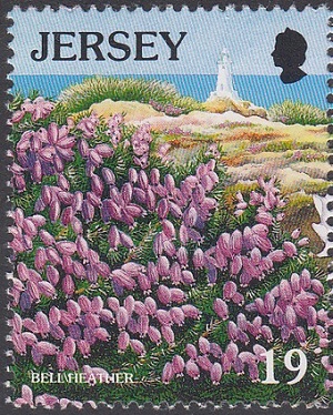 Джерси - Jersey (1995)