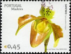 Madeira 2006