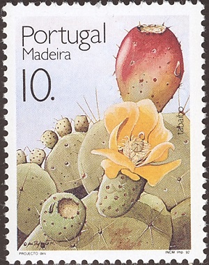 Madeira 1992