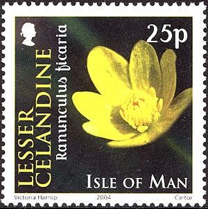 Мэн остров - Man (2004) 