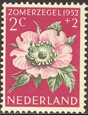 Netherlands 962