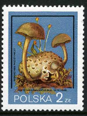 Польша - Poland (1980)