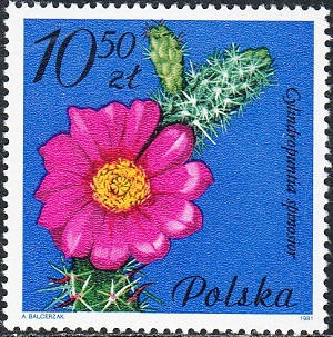 Польша - Poland (1981)