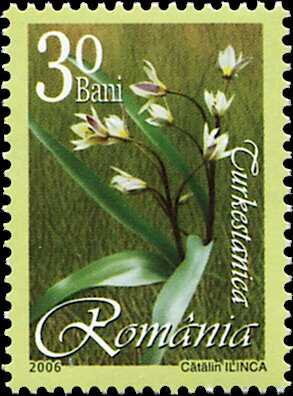 Румыния - Romania (2006)