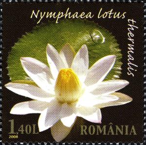 Romania  2008