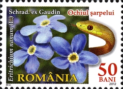 Румыния - Romania 2012