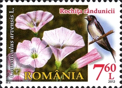 Rumania 2012