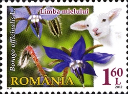 Румыния - Romania (2012)