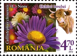 Rumania 2012