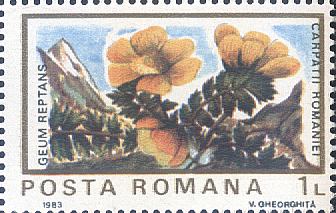 Румыния - Romania (1983)