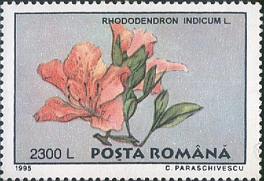 Romania 1995