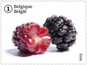 Belgium 2012
