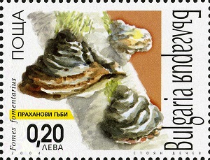 Bulgaria 2004